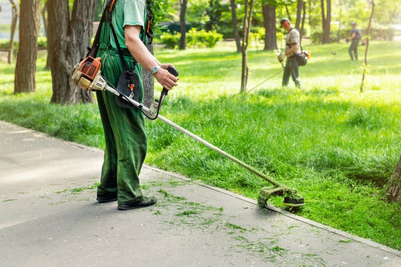 Landscape Trimming Service