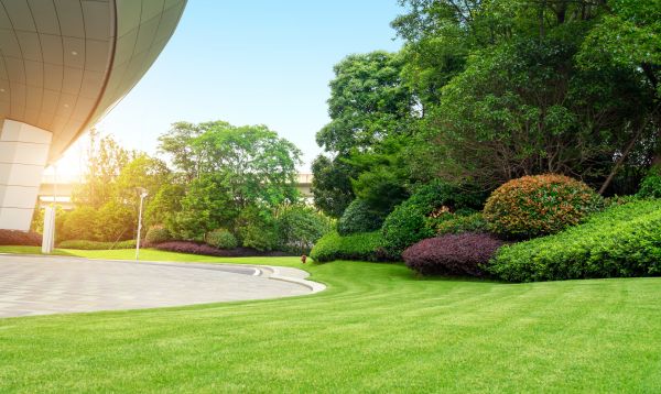 Commercial Shrub Trimming in Arroyo Grande