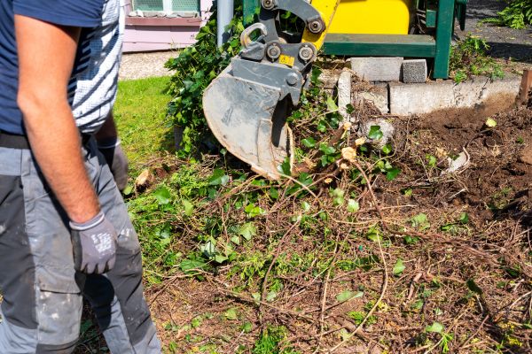 Hedge Removal Service in Arroyo Grande
