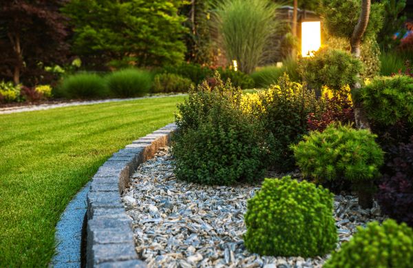 Cost of Bush Relocation in Arroyo Grande