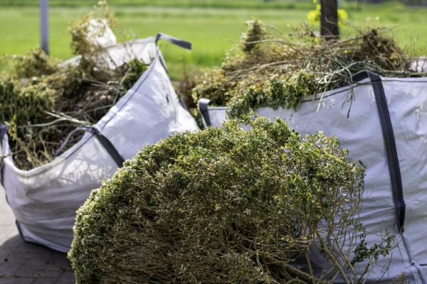 Shrubs Removal in Arroyo Grande