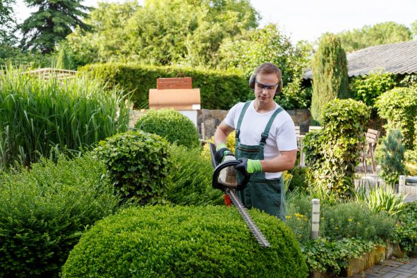 Shrubs Trimming in Arroyo Grande
