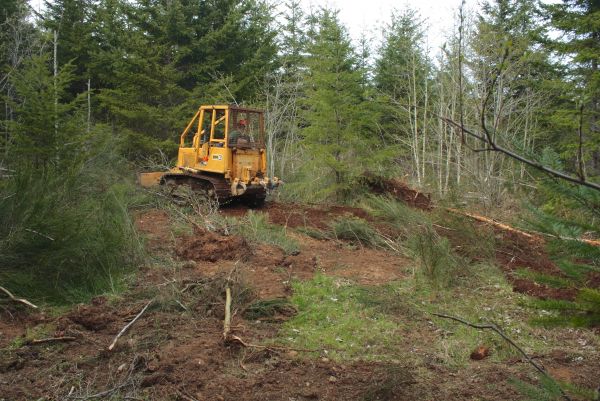 Cost of Shrubbery Clearing in Arroyo Grande